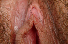 169