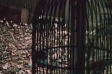 Как раньше трахом занимались