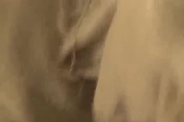 Дрочит игрушкой и сосет член