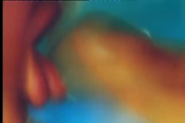 Чувак хорошо отпихал свою желанную гостью