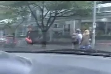 Двое типов сняли сучку с дороги