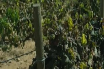 История о любви, которой есть место