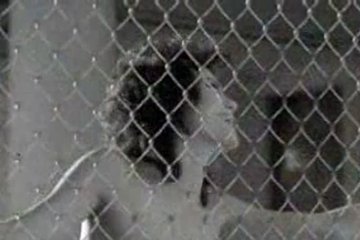 Вот такая вот фотосессия была