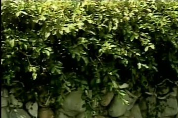 Девицам нравится то, что они вытворяют сейчас