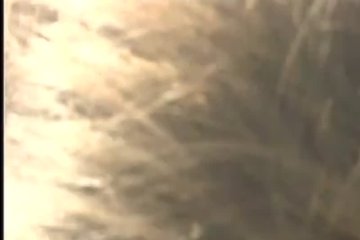 Трахает горячую чиксу Ребекку на крыше дома