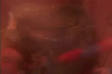 Горячий секс в шикарной атмосфере