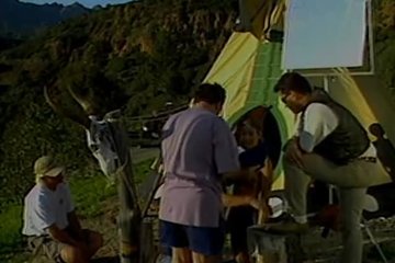 Сборка винтажной порнушки