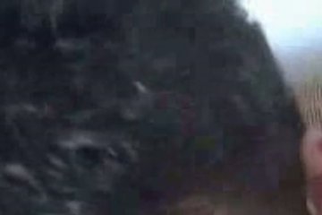 Шанс по-трахаться не был упущен