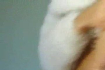 То одевается, то раздевается, то и вовсе дрочит