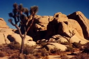 Ведущая-нудистка на телевидении