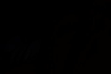 Девчонки не знали, чем себя развлечь