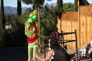 Наркоману привиделась зелёная тёлка