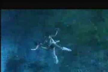 Азиатское интимное сражение в воздухе