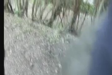 После стакана пива повел в лес, чтобы дать за щеку