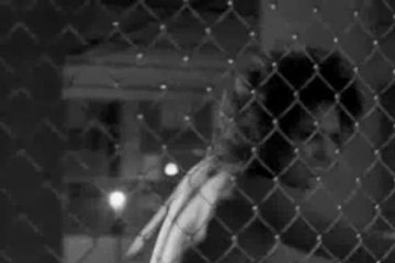 Моменты из фильмов Анджелины Джоли